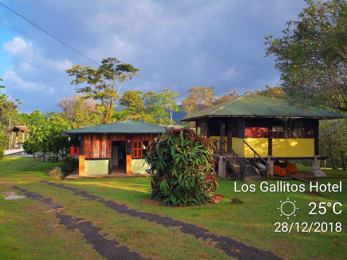 Los Gallitos Eco Lodge San Miguel  Pokój zdjęcie
