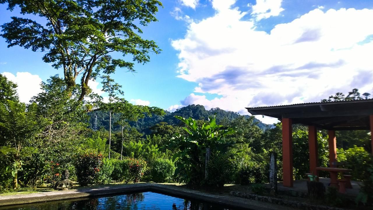 Los Gallitos Eco Lodge San Miguel  Zewnętrze zdjęcie