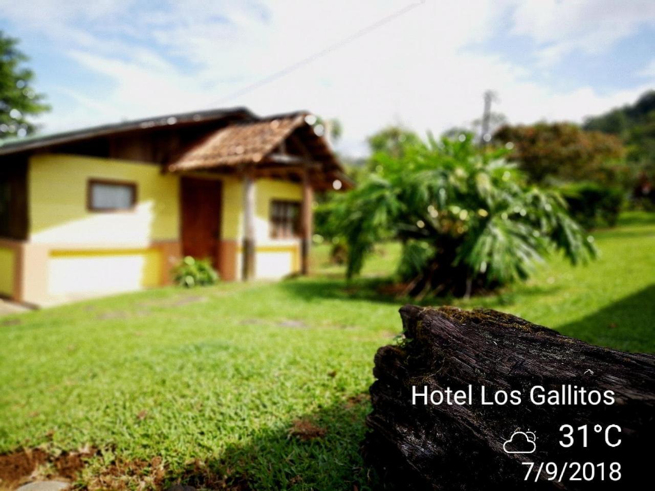 Los Gallitos Eco Lodge San Miguel  Zewnętrze zdjęcie