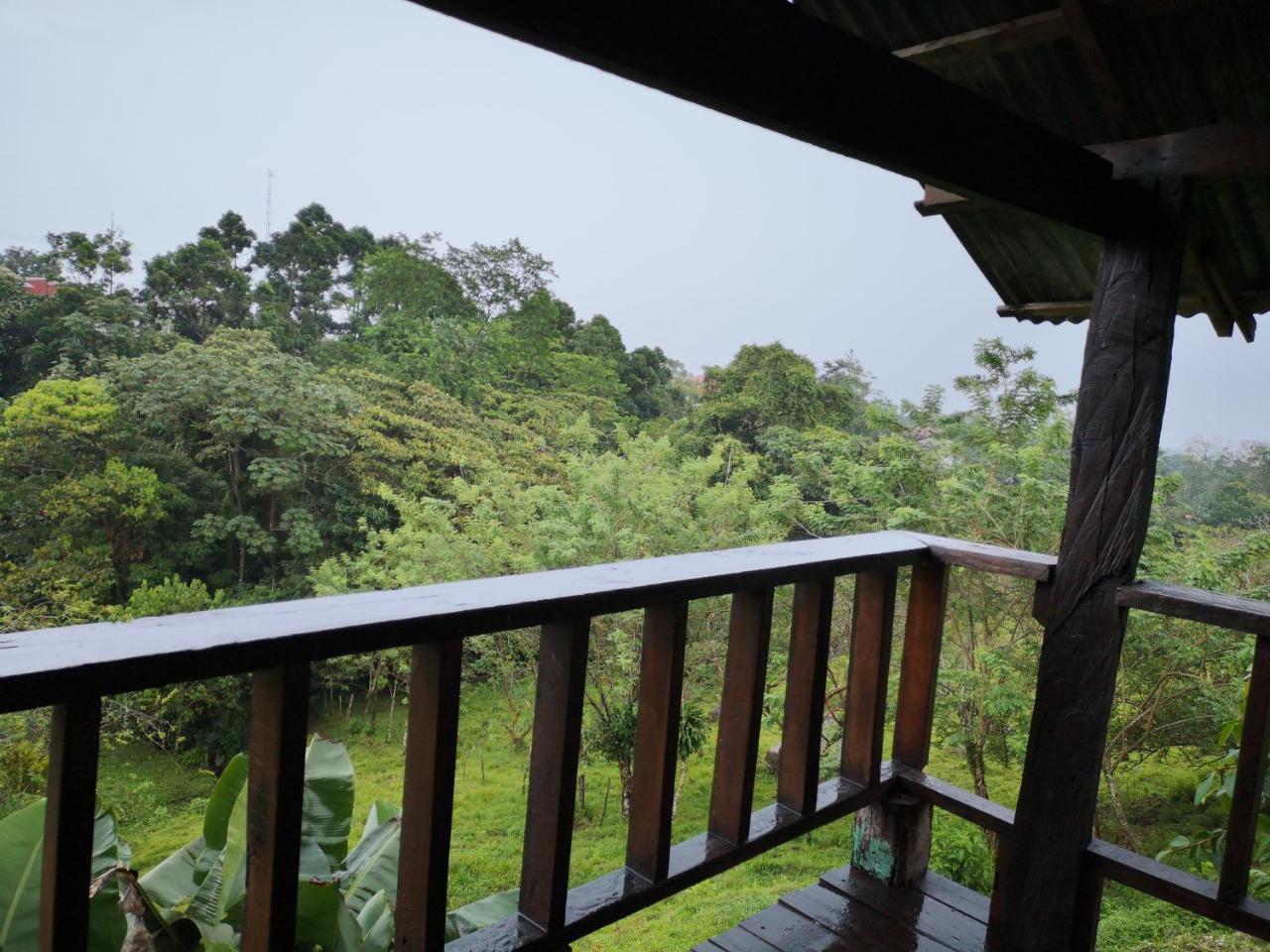 Los Gallitos Eco Lodge San Miguel  Zewnętrze zdjęcie