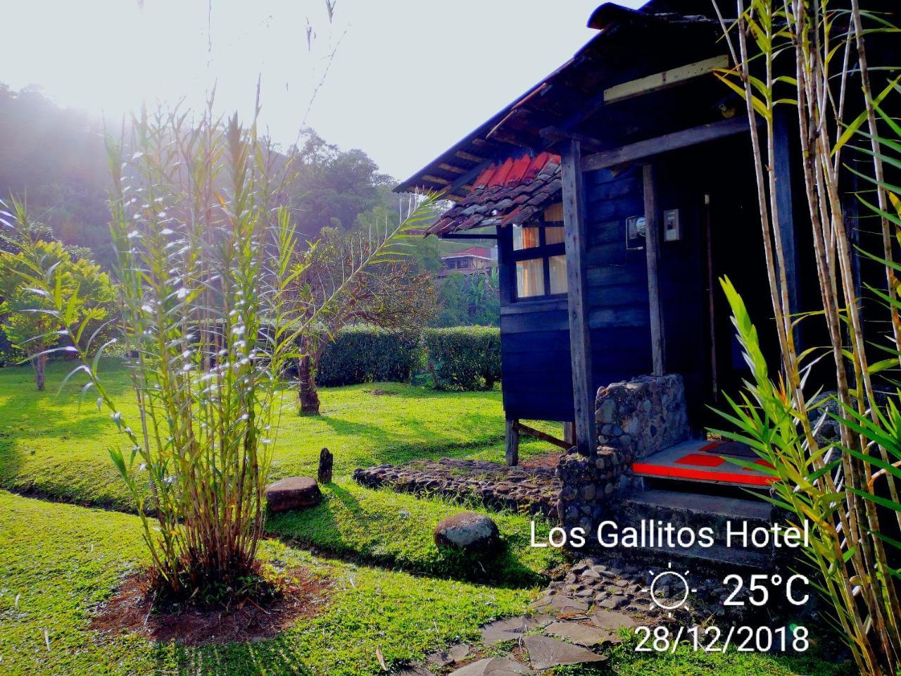 Los Gallitos Eco Lodge San Miguel  Zewnętrze zdjęcie