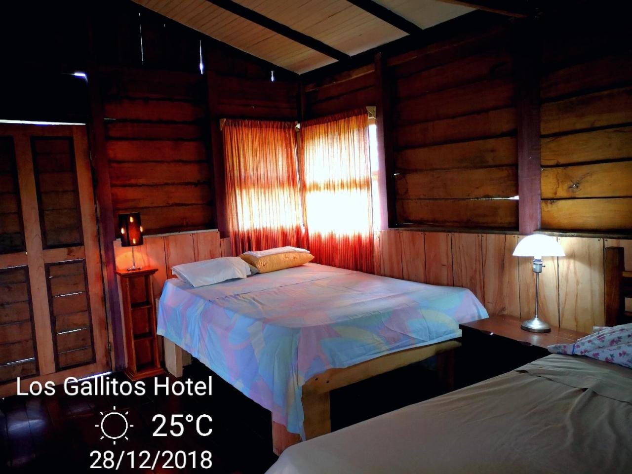Los Gallitos Eco Lodge San Miguel  Zewnętrze zdjęcie